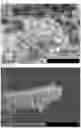Fig. 13 - METAL-BASED STRUCTURE OR NANOPARTICLES CONTAINING HYDROGEN, AND METHOD FOR PRODUCING SAME