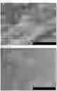 Fig. 14 - METAL-BASED STRUCTURE OR NANOPARTICLES CONTAINING HYDROGEN, AND METHOD FOR PRODUCING SAME