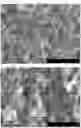 Fig. 15 - METAL-BASED STRUCTURE OR NANOPARTICLES CONTAINING HYDROGEN, AND METHOD FOR PRODUCING SAME