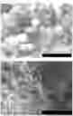 Fig. 16 - METAL-BASED STRUCTURE OR NANOPARTICLES CONTAINING HYDROGEN, AND METHOD FOR PRODUCING SAME