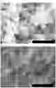 Fig. 18 - METAL-BASED STRUCTURE OR NANOPARTICLES CONTAINING HYDROGEN, AND METHOD FOR PRODUCING SAME
