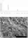 Fig. 35 - METAL-BASED STRUCTURE OR NANOPARTICLES CONTAINING HYDROGEN, AND METHOD FOR PRODUCING SAME