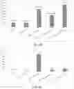 Fig. 08 - METHODS AND SYSTEMS FOR PRODUCING ACTIVATED SILICATE BASED MATERIALS USING SUSTAINABLE ENERGY AND MATERIALS