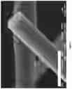 Fig. 06 - Thermal insulation