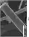 Fig. 07 - Thermal insulation