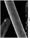 Fig. 08 - Thermal insulation