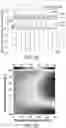 Fig. 06 - DYNAMIC RESONANCE OF HETEROGENEOUS CATALYSIS