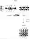Fig. 09 - TWO-DIMENSIONAL LEAD-FREE DOUBLE PEROVSKITE AND USES THEREOF