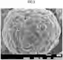 Fig. 03 - POSITIVE ELECTRODE ACTIVE MATERIAL FOR LITHIUM ION SECONDARY BATTERY, METHOD OF MANUFACTURING POSITIVE ELECTRODE ACTIVE MATERIAL FOR LITHIUM ION SECONDARY BATTERY, AND LITHIUM ION SECONDARY BATTERY