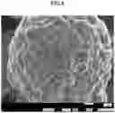 Fig. 04 - POSITIVE ELECTRODE ACTIVE MATERIAL FOR LITHIUM ION SECONDARY BATTERY, METHOD OF MANUFACTURING POSITIVE ELECTRODE ACTIVE MATERIAL FOR LITHIUM ION SECONDARY BATTERY, AND LITHIUM ION SECONDARY BATTERY