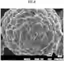 Fig. 06 - POSITIVE ELECTRODE ACTIVE MATERIAL FOR LITHIUM ION SECONDARY BATTERY, METHOD OF MANUFACTURING POSITIVE ELECTRODE ACTIVE MATERIAL FOR LITHIUM ION SECONDARY BATTERY, AND LITHIUM ION SECONDARY BATTERY