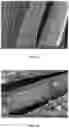 Fig. 07 - REACTIVE ELECTROCHEMICAL MEMBRANE SYSTEM AND METHODS OF MAKING AND USING