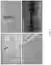 Fig. 02 - Multiple Crystallization Enhance (MCE) Intermix for Portland Cement Concrete