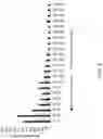 Fig. 03 - Multiple Crystallization Enhance (MCE) Intermix for Portland Cement Concrete