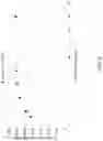 Fig. 07 - Multiple Crystallization Enhance (MCE) Intermix for Portland Cement Concrete