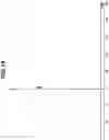 Fig. 19 - Onium salt, chemically amplified resist composition and patterning process