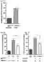 Fig. 08 - ANTI-ARRHYTHMICITY AGENTS