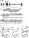 Fig. 09 - ANTI-ARRHYTHMICITY AGENTS