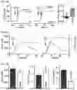 Fig. 10 - ANTI-ARRHYTHMICITY AGENTS
