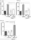 Fig. 13 - ANTI-ARRHYTHMICITY AGENTS
