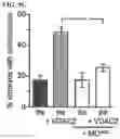 Fig. 16 - ANTI-ARRHYTHMICITY AGENTS