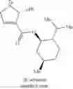 Fig. 31 - ANTI-ARRHYTHMICITY AGENTS