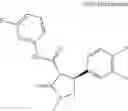 Fig. 1179 - Substituted cyclic amides and their use as herbicides