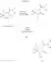 Fig. 26 - Substituted cyclic amides and their use as herbicides