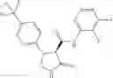 Fig. 434 - Substituted cyclic amides and their use as herbicides