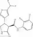 Fig. 449 - Substituted cyclic amides and their use as herbicides