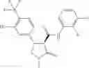 Fig. 503 - Substituted cyclic amides and their use as herbicides