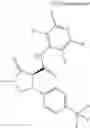 Fig. 851 - Substituted cyclic amides and their use as herbicides