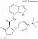 Fig. 935 - Substituted cyclic amides and their use as herbicides