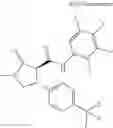 Fig. 955 - Substituted cyclic amides and their use as herbicides