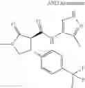Fig. 964 - Substituted cyclic amides and their use as herbicides