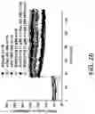 Fig. 27 - HISTONE ACETYLTRANSFERASE MODULATORS AND COMPOSITIONS AND USES THEREOF