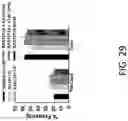 Fig. 30 - HISTONE ACETYLTRANSFERASE MODULATORS AND COMPOSITIONS AND USES THEREOF