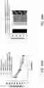 Fig. 31 - HISTONE ACETYLTRANSFERASE MODULATORS AND COMPOSITIONS AND USES THEREOF