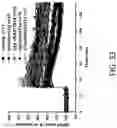Fig. 34 - HISTONE ACETYLTRANSFERASE MODULATORS AND COMPOSITIONS AND USES THEREOF