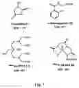 Fig. 02 - FLUORESCENT PYRAZINE DERIVATIVES AND METHODS OF USING THE SAME IN ASSESSING RENAL FUNCTION
