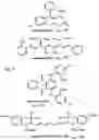 Fig. 03 - FLUORESCENT PYRAZINE DERIVATIVES AND METHODS OF USING THE SAME IN ASSESSING RENAL FUNCTION