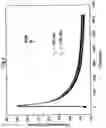 Fig. 06 - FLUORESCENT PYRAZINE DERIVATIVES AND METHODS OF USING THE SAME IN ASSESSING RENAL FUNCTION