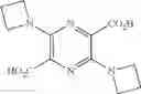 Fig. 12 - FLUORESCENT PYRAZINE DERIVATIVES AND METHODS OF USING THE SAME IN ASSESSING RENAL FUNCTION