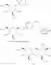 Fig. 112 - Glycosyl donor, preparation method therefor, and use thereof