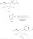 Fig. 144 - Glycosyl donor, preparation method therefor, and use thereof