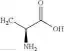 Fig. 07 - Prodrugs of urolithins and uses thereof