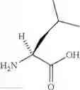 Fig. 08 - Prodrugs of urolithins and uses thereof