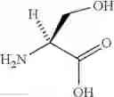 Fig. 14 - Prodrugs of urolithins and uses thereof