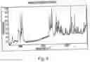 Fig. 09 - Polymorphic forms of 3-(4-amino-1-oxo-1,3 dihydro-isoindol-2-yl)-piperidine-2,6-dione