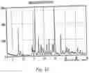 Fig. 13 - Polymorphic forms of 3-(4-amino-1-oxo-1,3 dihydro-isoindol-2-yl)-piperidine-2,6-dione